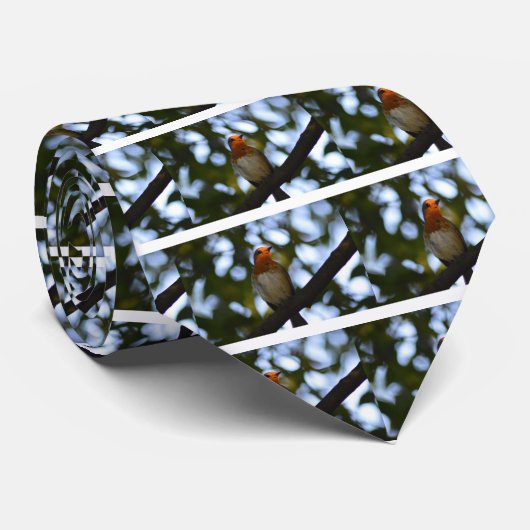 Robin Stropdas (Opgerold)