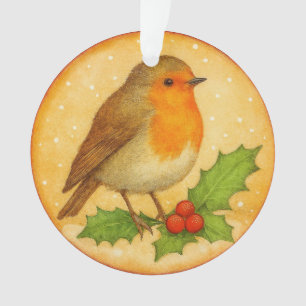 Robin sur la branche de houx
