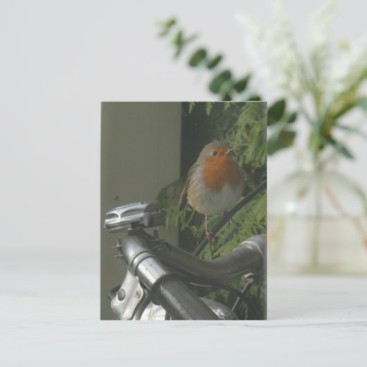 Robin sur le vélo fermer do-it-yourself carte post (Debout devant)