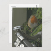 Robin sur le vélo fermer do-it-yourself carte post (Devant / Derrière)