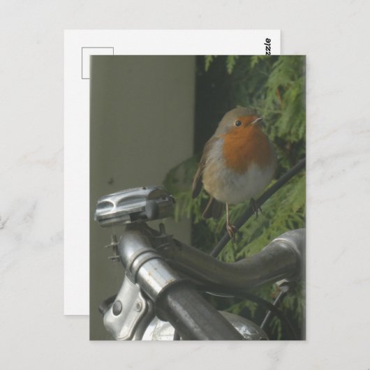 Robin sur le vélo fermer do-it-yourself carte post (Devant / Derrière)