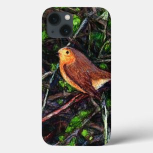 Robin Tweet tweet iPhone 13 Hoesje