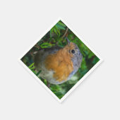 Robin up close servetten (Hoek)