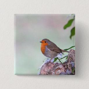 Robin Vierkante Button 5,1 Cm