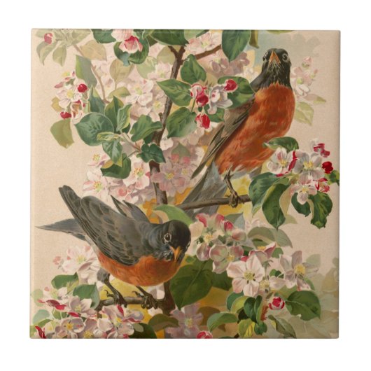 Robins 1896 tegeltje (Voorkant)