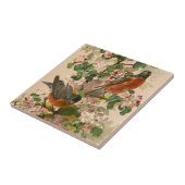 Robins 1896 tegeltje (Zijkant)