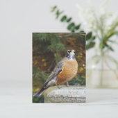 Robins Bath carte postale (Debout devant)