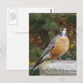 Robins Bath carte postale (Devant / Derrière)