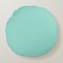Robin's Egg Blue Round Pillow Rond Kussen