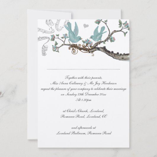 Robin's Egg Blue Wedding Invitations Kaart (Voorkant)
