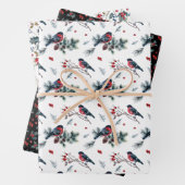 Robins en KerstHolly Gecoördineerd Inpakpapier Vel (In situ)