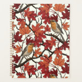 Robins in maple tree on off white (Devant)