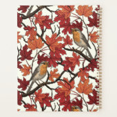 Robins in maple tree on off white (Dos)