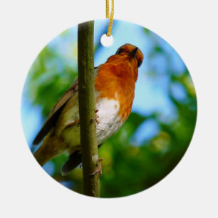 ROBINS KERAMISCH ORNAMENT