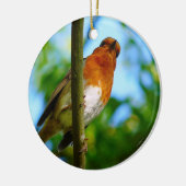 ROBINS KERAMISCH ORNAMENT (Links)