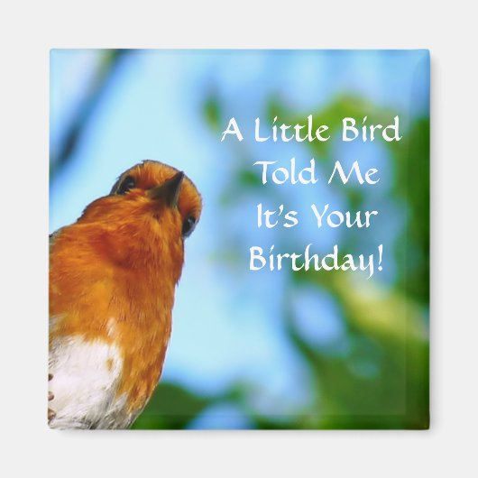 ROBINS MAGNEET (Voorkant)