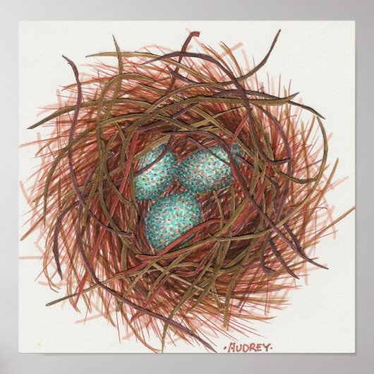 Robin's Nest Poster (Voorkant)