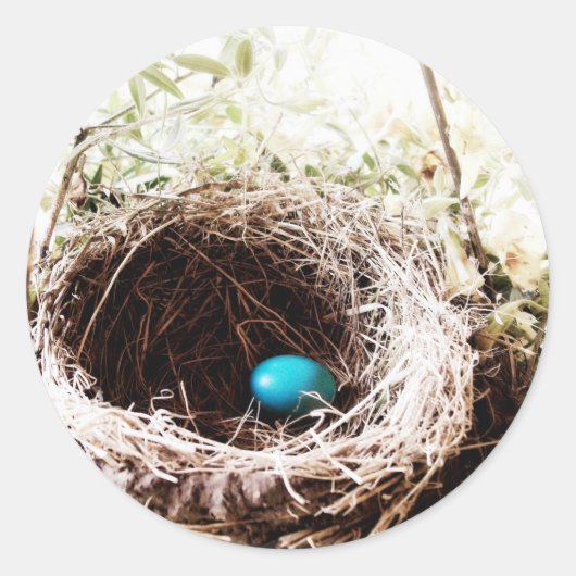 Robin's Nest Ronde Sticker (Voorkant)