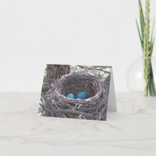 Robin's Nest with Blue Eggs carte blanche