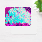 Robin's Oeuf Blue Peppermenthe Twist Phlox Flowers (Bureau)