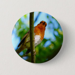 ROBINS RONDE BUTTON 5,7 CM