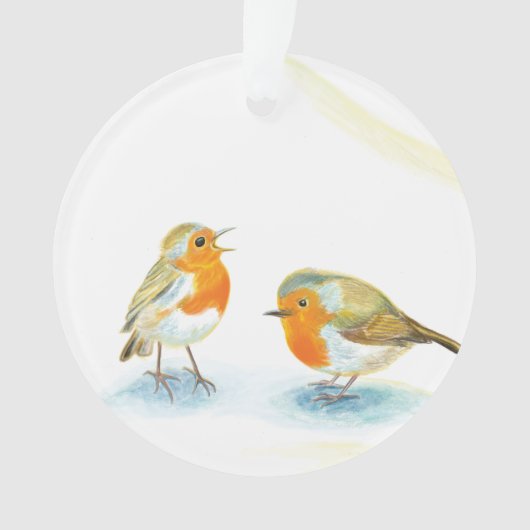 Robins rouges en hiver (devant)