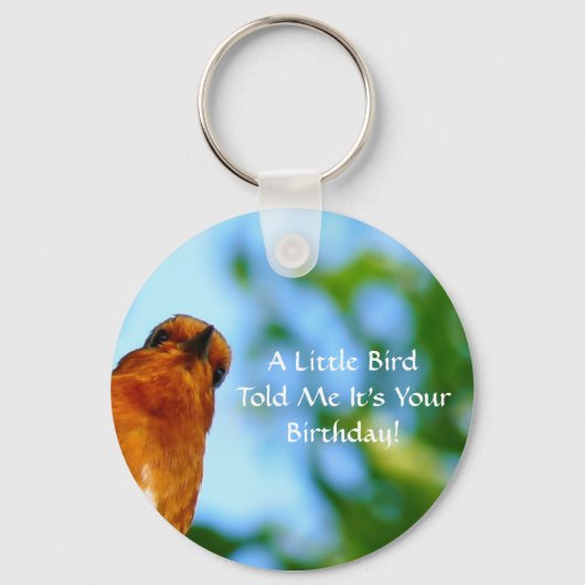 ROBINS SLEUTELHANGER (Voorkant)