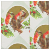 Robins Stof (Close Up)