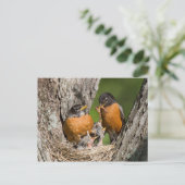 Robins V Briefkaart (Staand voorkant)