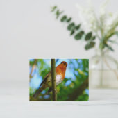 ROBINS VISITEKAARTJE (Staand voorkant)