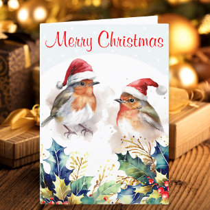 Robins Winter Sneeuw Hulst Prettig Kerstfeest Feestdagen Kaart