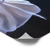 Robinton, Masterharper van Pern - Druk af of Poste Poster (Hoek)