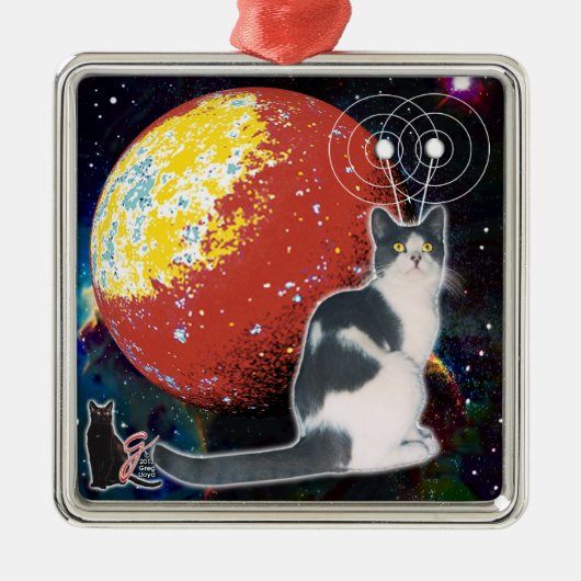 Robo-Cat Hobo Ornament (Voorkant)