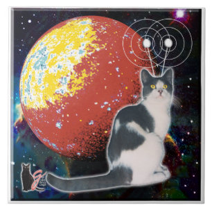 Robo-Cat Hobo Tegel Tegeltje