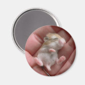 Robo Pup Magnet (Recto/Verso)