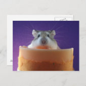 Roborovksi Hamster Briefkaart (Voorkant / Achterkant)