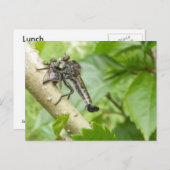 Robot avec Snack ~ carte postale (Devant / Derrière)