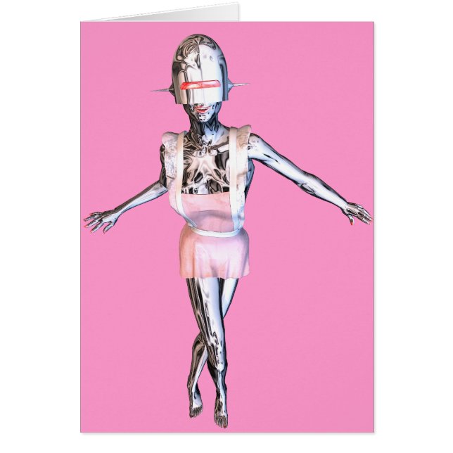 robotwerkster (Voorkant)