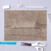 Robuust oude  Sepia Brown Barn Texture Tissuepapier (Craft)