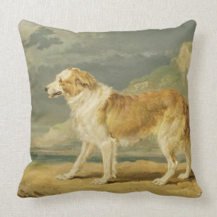 Robuuste collie, 1809 (olie aan boord) kussen