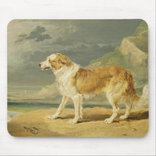 Robuuste collie, 1809 (olie aan boord) muismat