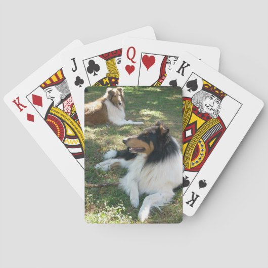 Robuuste fietskamer voor het afspelen van collies pokerkaarten (Achterkant)
