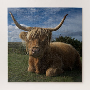Robuuste hoogland Koe Legpuzzel