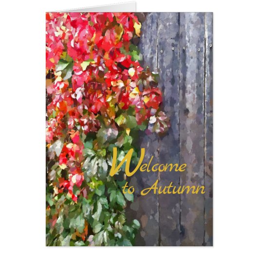 Robuuste kleuren van valleien Rustic Wooden Fence (Voorkant)