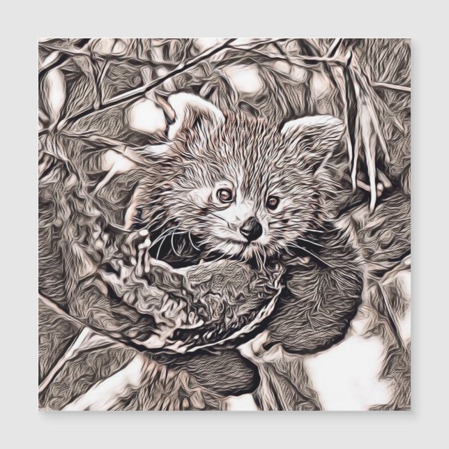 Robuuste stijl - Red Panda (Voorkant)