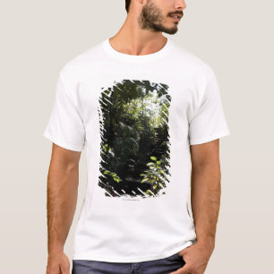 Robuuste trap/voetpad in bos, zonlicht t-shirt