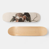 Robuuste valkvogels van Amerika Audubon Print Skateboard (Horizontaal)