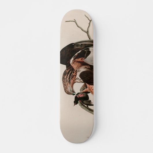 Robuuste valkvogels van Amerika Audubon Print Skateboard (Voorkant)