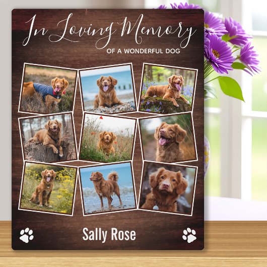 Robuuste verfprinters in het liefhebben van Memory Fotoplaat