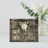 Robuuste Westerne Koe De schedel bewaart de datumb (Staand voorkant)